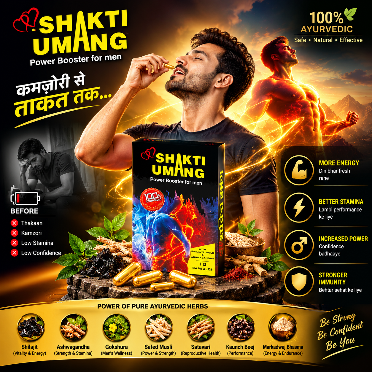 Shilajit Gold — The Himalayan Power Resin